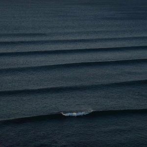 Meet your Posher, Alexon